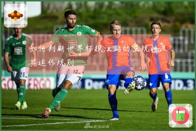 如何判断世界杯投注站的正规性及其运作规则