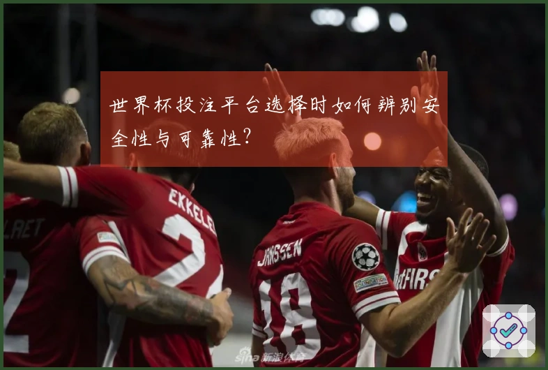 世界杯投注平台选择时如何辨别安全性与可靠性？