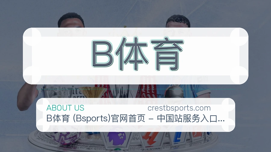 B体育关于平台与用户服务展示